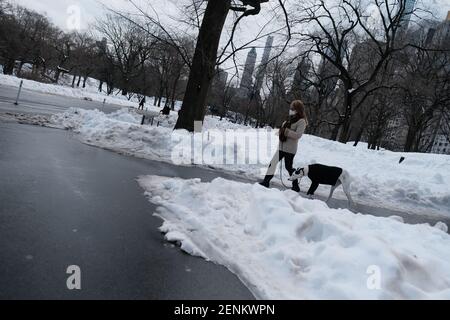 Marche avec le chien dans Central Park, New York City pendant l'hiver. Banque D'Images