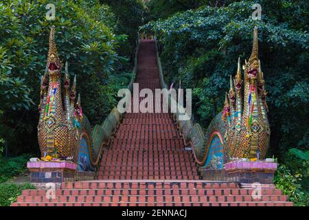 Dragon Stairway à Wat Phra que Doi Suthep à Chiang Mai, Thaïlande. Banque D'Images
