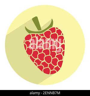 Fruit de framboise rouge sur fond vert rond Illustration de Vecteur