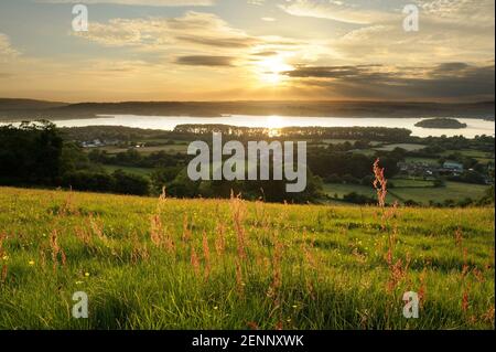 Vue sur le lac Chew Valley, Somerset, depuis une colline herbacée au coucher du soleil. Banque D'Images