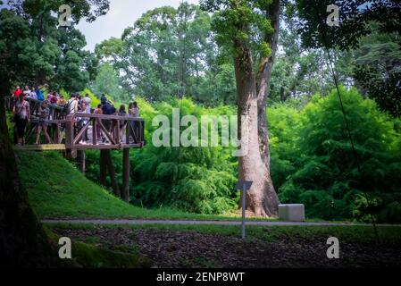 Shekvetili Dendrologic Park Banque D'Images