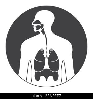 Arrondit l'icône plate du système respiratoire humain ou des voies respiratoires pour les applications et les sites web Illustration de Vecteur