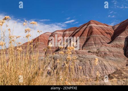 Vue sur les falaises/montagnes multicolores/peintes dans le désert de l'Utah, dans le sud-ouest de United États-Unis Banque D'Images