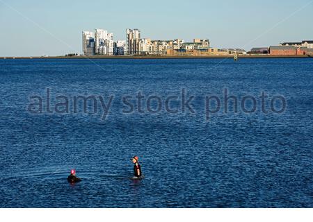 Édimbourg, Écosse, Royaume-Uni. 26 février 2021. Nage sauvage dans le quatrième estuaire de la baie de Wardie en fin d'après-midi, froide et ensoleillée. Vue sur le développement moderne à Leith. Crédit : Craig Brown/Alay Live News Banque D'Images