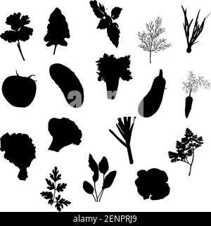 Les icônes de légumes vectoriels définissent une silhouette noire isolée sur un fond blanc. Illustration de Vecteur