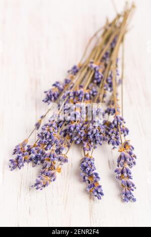 Lavande séchée (Lavandula angustifolia) sur fond blanc Banque D'Images