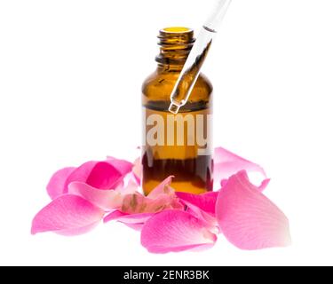 Flacon d'huile de rose avec pétales de rose et pipette isolée sur fond blanc Banque D'Images