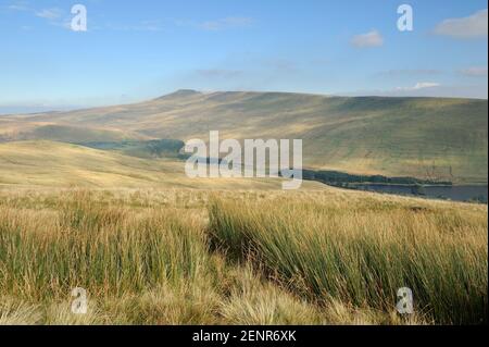 Vue de Fan Fawr vers Corn du dans les Brecon Beacons, pays de Galles, Royaume-Uni. Banque D'Images