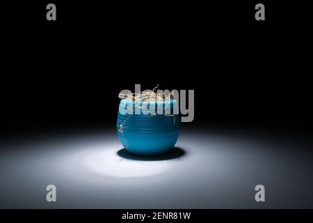 Une fleur séchée dans un pot turquoise dans l'obscurité sanctifie une lumière blanche et vive. Une fleur morte dans un vase sur fond noir, lumière blanche. Une h sauvage Banque D'Images