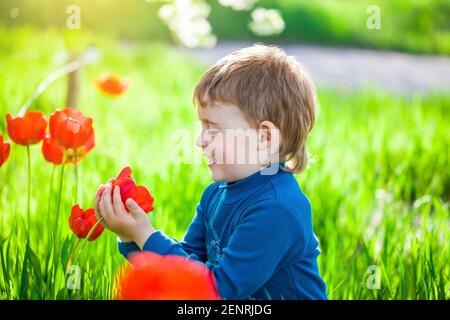 Portrait petit garçon dans jardin de fleurs.activité extérieure comme jouer, toucher et voir des choses réelles est le meilleur pour l'apprentissage sensoriel Banque D'Images