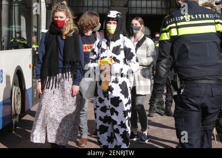 Des policiers néerlandais arrêtent les militants écologistes de la rébellion en voie d'extinction lors d'une manifestation bloquent l'entrée principale du Rijksmuseum le 26 février 20 Banque D'Images