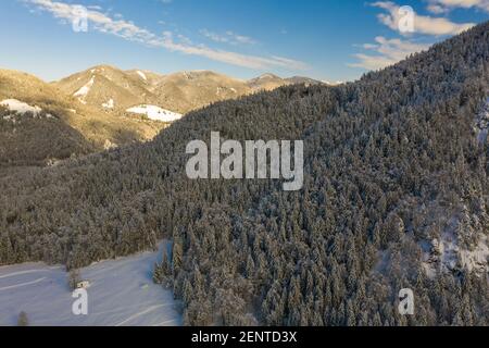 Paysage aérien de forêt de montagne en hiver couvert de neige. Lumière du soleil sur les épinettes blanches. Banque D'Images