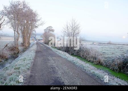 2020 décembre - matin froid sur les landes Somerset Près de Glastonbury Banque D'Images