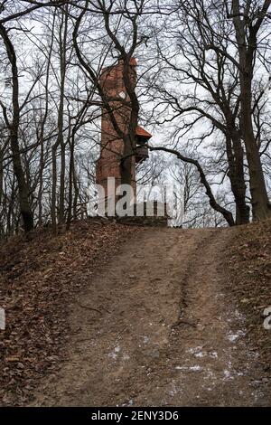 Tour de Bismarck (Bismarckturm) à Bad Freienwalde. Allemagne. Banque D'Images