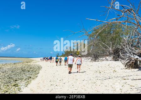 Touristes lors d'une excursion d'une journée à Lady Musgrave Island en marchant sur la plage, la Grande barrière de corail du sud, Queensland, Queensland, Queensland, Australie Banque D'Images