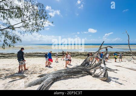 Touristes lors d'une excursion d'une journée à Lady Musgrave Island en marchant sur la plage, la Grande barrière de corail du sud, Queensland, Queensland, Queensland, Australie Banque D'Images