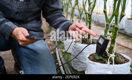 Dose cultivée d'agronome à l'aide d'un comprimé numérique et d'un indicateur de sol, vérifier la valeur du pH dans le sac de plantation de poivre doux. Banque D'Images