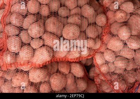 Des pommes de terre fraîchement récoltées et lavées dans un emballage de filet dans un greengrocer's. Image d'arrière-plan Banque D'Images