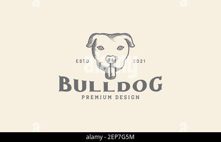 Animaux animaux animaux chien American Pit Bull Terrier Head logo vintage illustration graphique de symbole d'icône de vecteur de conception Illustration de Vecteur