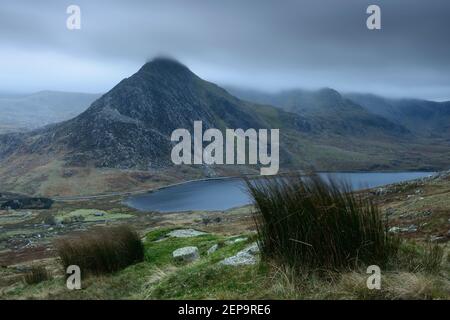 Herbes balayées par le vent sur les pentes de Pen yr Ole Wen surplombant Tryfan et la chaîne de montagnes de Glyderau à Snowdonia, au pays de Galles. Banque D'Images