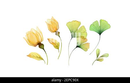 Ensemble de fleurs aquarelles. Collection de roses jaunes transparentes et de feuilles de ginkgo. Conception isolée peinte à la main. Illustration botanique pour mariage Banque D'Images