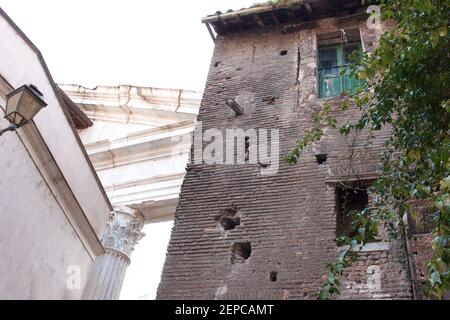 Portique d'Octavia, Torre dei grassi Banque D'Images