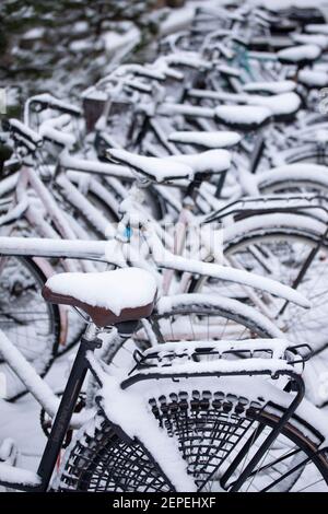 Vélos dans une rangée couverte de neige. Banque D'Images
