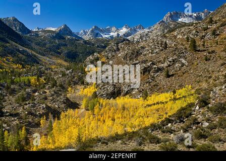 Pic de la photo, Mont Haeckel, Mont Wallace, encens en automne, bassin du lac Sabrina dans la région de l'évolution, John Muir Wilderness, Sierra Nevada, Californie Banque D'Images