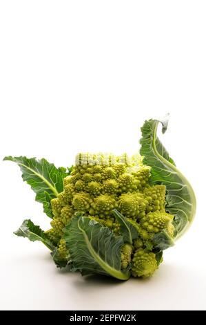 Brocoli ou chou-fleur romanesco frais isolés sur fond blanc. Gros plan. Banque D'Images