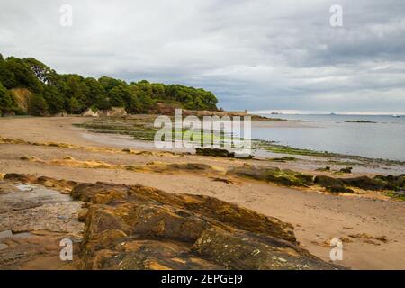 Kirkcaldy Sandy Beach, une partie de rivage au-dessous du château de Ravenscraig avec grès caractéristique à l'avant et l'Alga verte délavée Banque D'Images