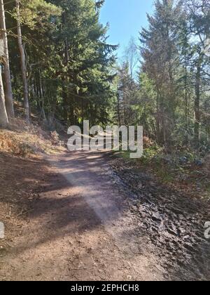 Lickey Hills Country Park, Worcestershire Banque D'Images