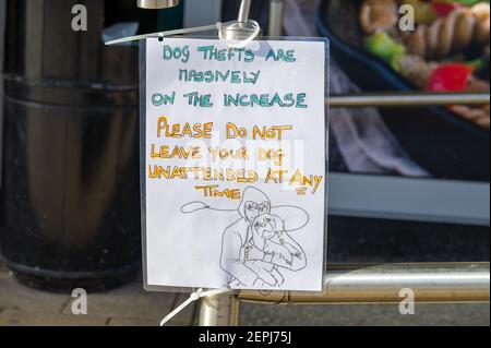 Wendover, Buckinghamshire, Royaume-Uni. 27 février 2021.UN message aux acheteurs à l'extérieur d'un supermarché les avertissant de ne pas laisser leurs chiens dehors car les chiens sont volés. C'était une journée chargée à Wendover aujourd'hui, pendant un autre week-end de confinement de Covid-19, alors que le soleil faisait entrer les gens dans les villes et les villages autour de Buckinghamshire. Crédit : Maureen McLean/Alay Live News Banque D'Images