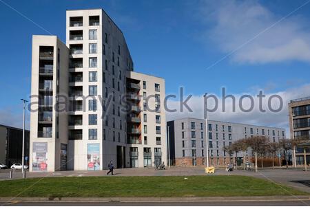 Propriété résidentielle moderne vendue à Saltyre Square, Waterfront Avenue, Granton Edinburgh, Écosse Banque D'Images