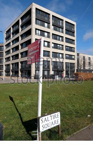 Propriété résidentielle moderne à vendre à Saltyre Square, Waterfront Avenue, Granton Edinburgh, Écosse Banque D'Images