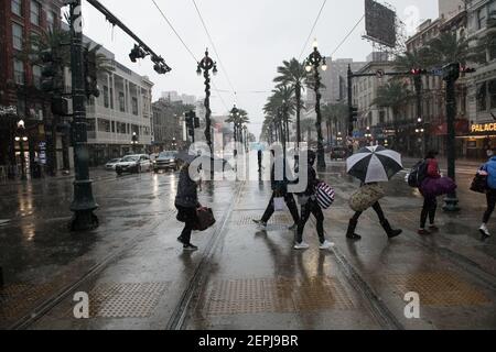 Une rue canal Street pluvieuse à la Nouvelle-Orléans, en Louisiane, avec des palmiers emblématiques bordant le trottoir. Banque D'Images