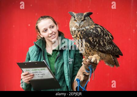 Le gardien de but Shannon avec Max the Eagle Owl lors de la sortie annuelle du zoo de Londres ZSL, au zoo de Londres. Date de la photo: Mercredi 7 février 2018. Le crédit photo devrait se lire: David Jensen Banque D'Images