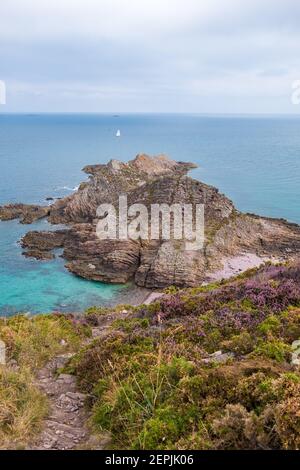 Beau paysage avec des prés de lilas de bruyère à Erquy Cape, canal anglais, Bretagne dans le nord-ouest de la France Banque D'Images