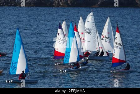 Entraînement à la voile Dinghies naviguant sur Firth of Forth à côté de North Berwick. Craigleith Island en arrière-plan Banque D'Images