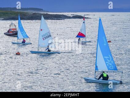 Laser, Topper et Pico voile dinghies, voile à West Bay, North Berwick Banque D'Images