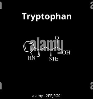 Acide aminé tryptophane. Formule moléculaire chimique de l'acide aminé tryptophane. Illustration vectorielle sur un arrière-plan isolé Illustration de Vecteur