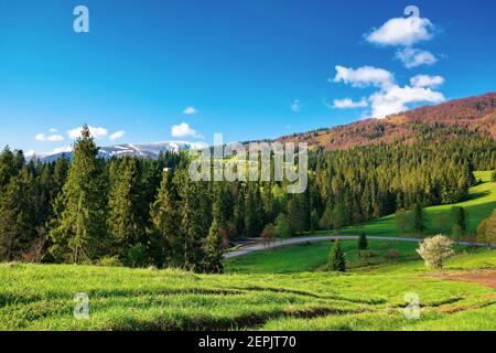 paysage de campagne le matin. beau paysage de montagne au printemps. temps ensoleillé avec des nuages moelleux. neige au sommet au loin Banque D'Images