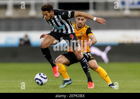 Newcastle, Royaume-Uni. 27 février 2021. Joelinton de Newcastle United et Jonny de Wolverhampton Wanderers lors du match de première ligue entre Newcastle United et Wolverhampton Wanderers au parc St James' Park le 27 février 2021 à Newcastle, en Angleterre. (Photo de Daniel Chesterton/phcimages.com) Credit: PHC Images/Alamy Live News Banque D'Images