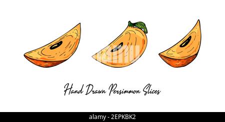 Ensemble de tranches de persimmon dessinées à la main isolées sur fond blanc. Illustration vectorielle dans un style d'esquisse coloré Illustration de Vecteur