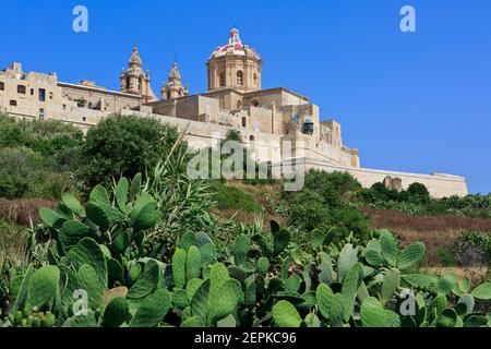 La cathédrale catholique romaine de Saint Paul (fondée au XIIe siècle) à flanc de colline, dans la ville fortifiée médiévale fortifiée de Mdina, Malte Banque D'Images