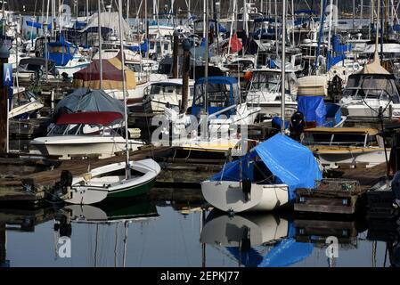 Divers bateaux sont amarrés aux quais de la marina d'Oak Bay à Oak Bay, en Colombie-Britannique, au Canada, sur l'île de Vancouver Banque D'Images