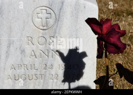 Une rose rouge à longue tige décorera la tombe d'une femme nommée Rose enterrée dans le cimetière national de Santa Fe, au Nouveau-Mexique. Banque D'Images