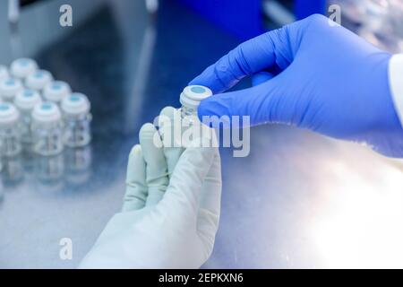 Main avec un gant médical tenant un flacon de vaccin provenant de l'entreposage de glace. Traitement médicamenteux au gel d'azote. Banque D'Images