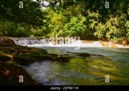 Cascadas de Agua Azul sont une série de cascades que l'on trouve sur la rivière Xanil dans l'État de Chiapas, au Mexique Banque D'Images