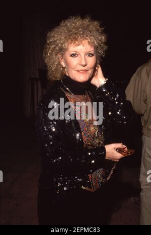 Petula Clark 1991 crédit: Ralph Dominguez/MediaPunch Banque D'Images