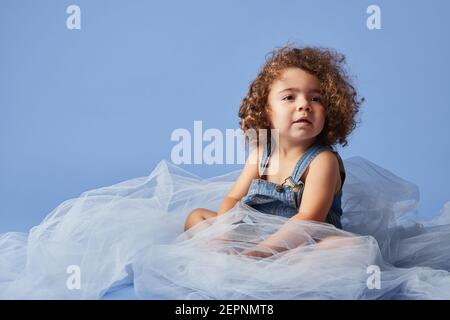 Adorable fille à poil dur souriant mignon assis sur un tissu fin sur fond bleu et en regardant loin Banque D'Images